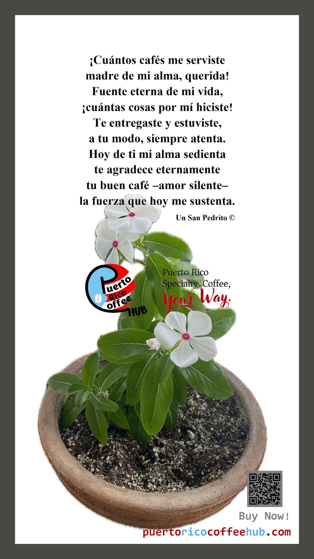 Café De Madre