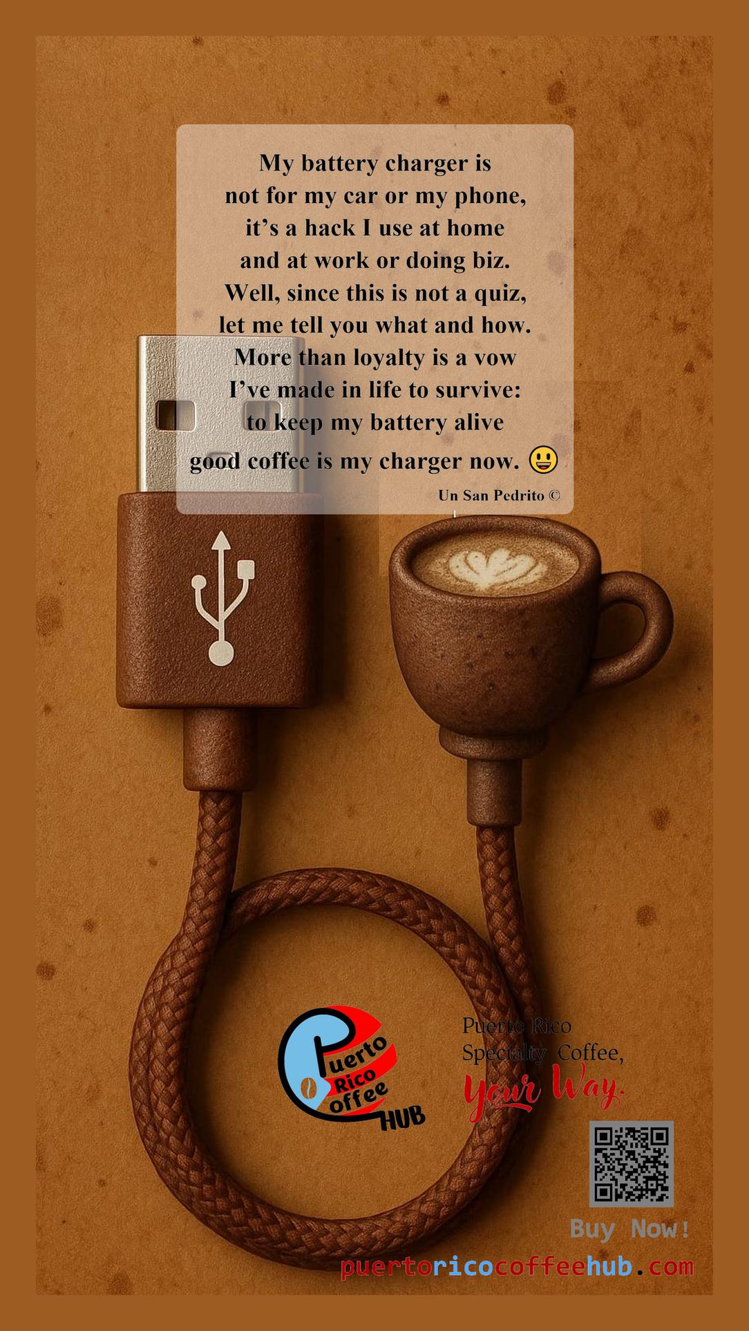 My Battery Charger