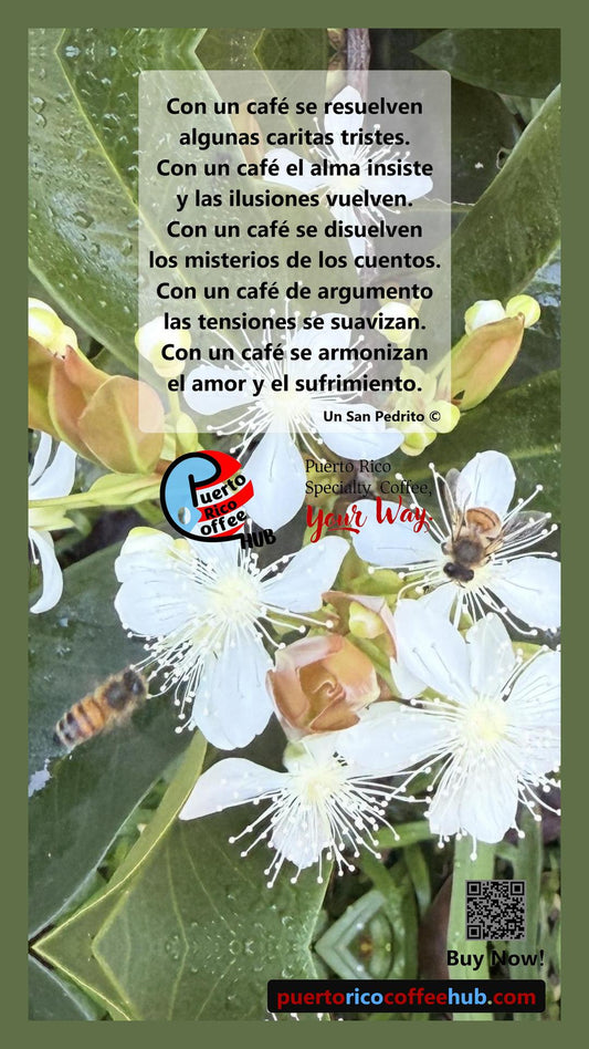 Con un café