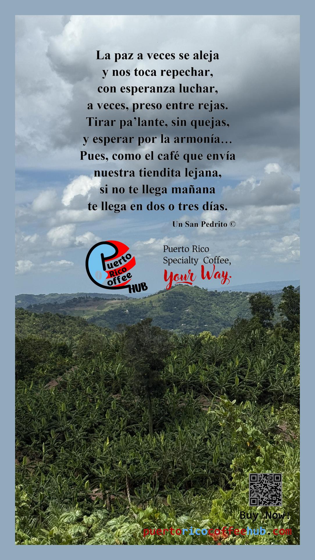 Envío de paz