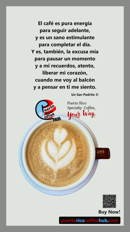 La excusa mía