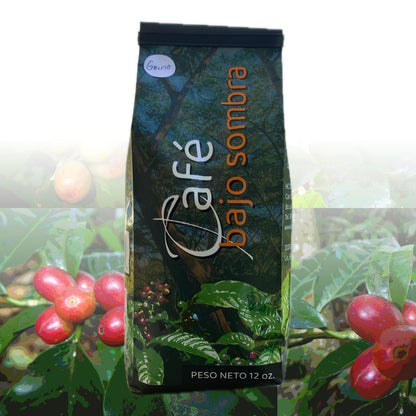 Granos de café de sombra