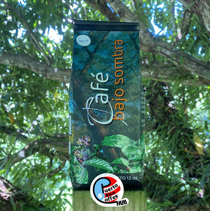 Granos de café de sombra