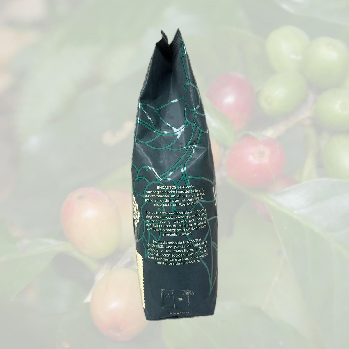 Café Encantos Origins Organic Ground Coffee