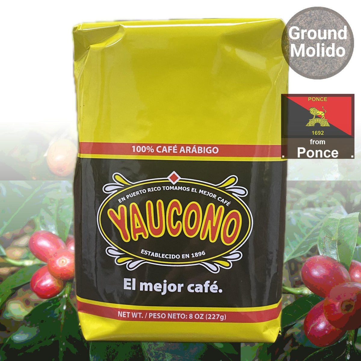 Degustación de cafés puertorriqueños: Cafés populares de cinco estrellas